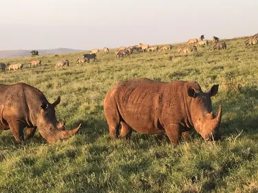 Isiolo