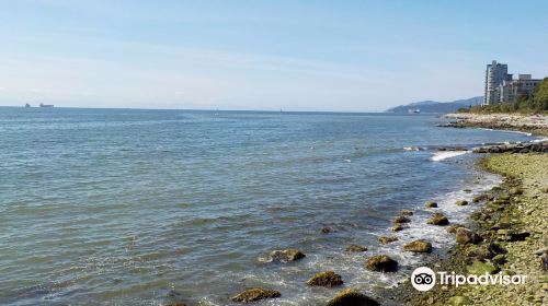 Ambleside Park | West Vancouver