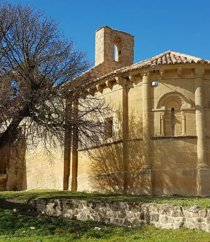 Galbarruli
