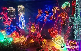 Bellevue Botanical Garden