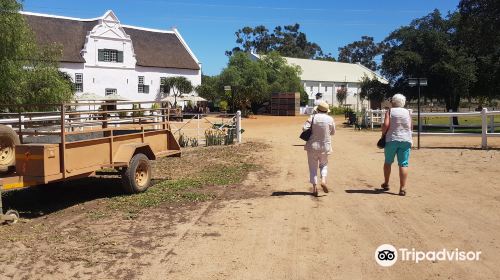 Groote Post Winery