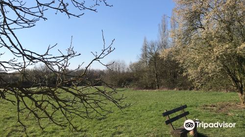 Arboretum Main-Taunus