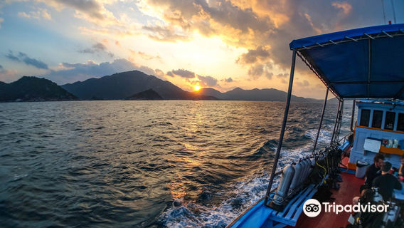 Roctopus Pro Center | Divemaster and Marine Conservation Training