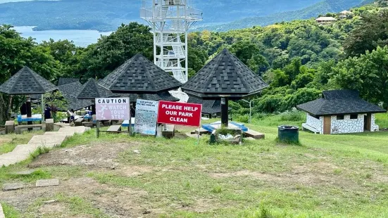 Picnic Grove