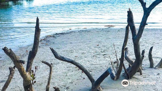 Bonita Springs Dog Park