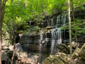 Bethel Spring Nature Preserve