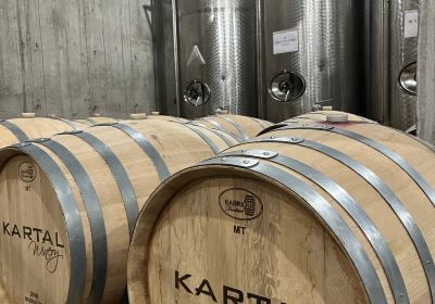 Kartal Winery