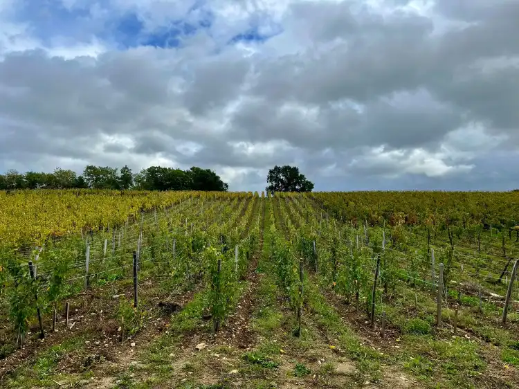 Hôtels à : Saint-Loubès