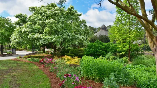 Cape Fear Botanical Garden