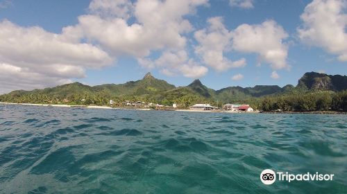 Wreck of the Matai