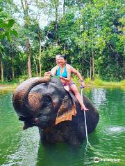 Tongdee Elephant Camp