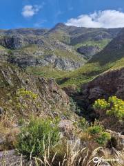 Green Mountain Trail