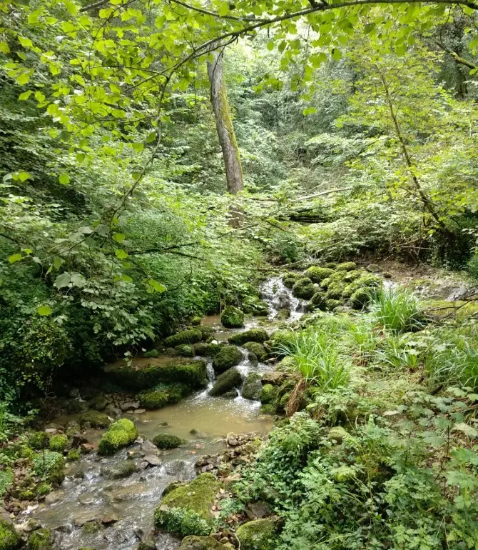 Munorrodero