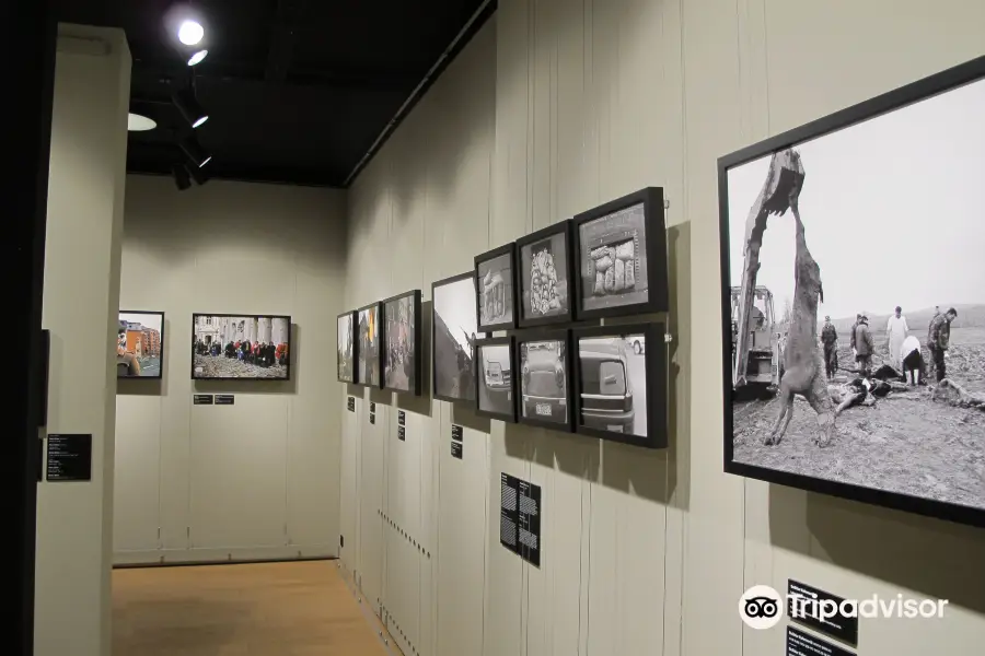 Image of War - War Photography Museum