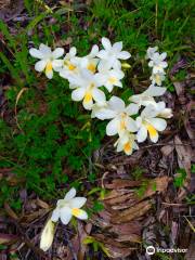 The Myrtle Benn Flora & Fauna Sanctuary