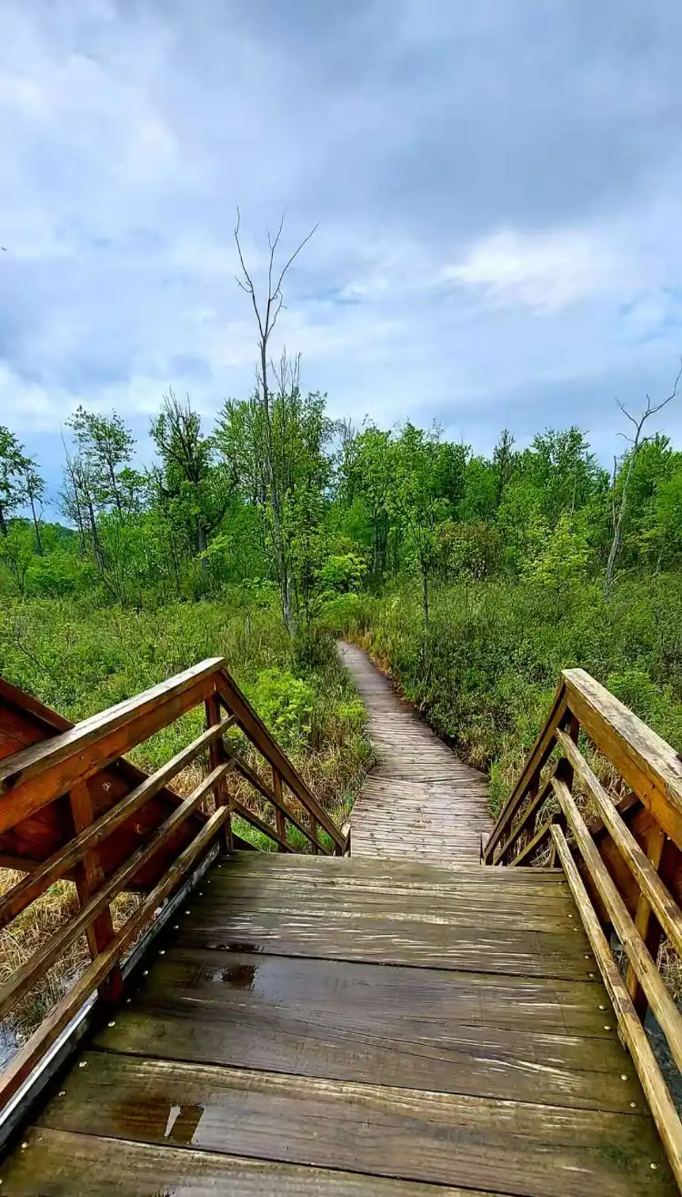 Lapeer County 호텔