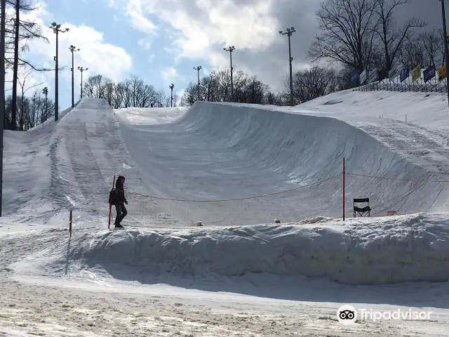 Skiing in Sapporo