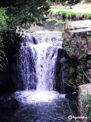 Jesmond Dene