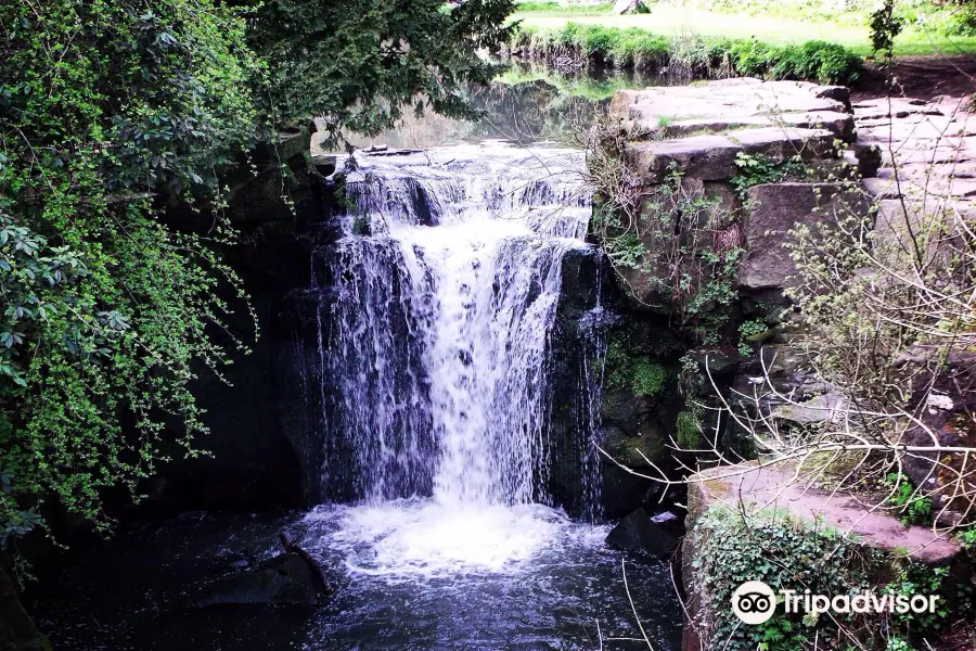 Jesmond Dene