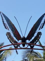 Butterfly Park Bangladesh