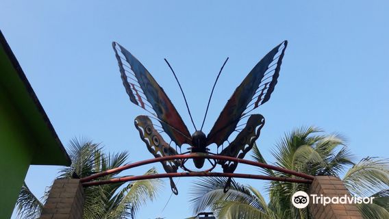Butterfly Park, Chittagong, Bangladesh.