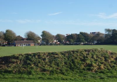 Wish Park ( Aldrington Recreation Ground )