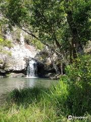 Kondalilla Falls