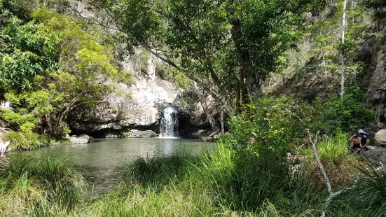 Kondalilla Falls Rd