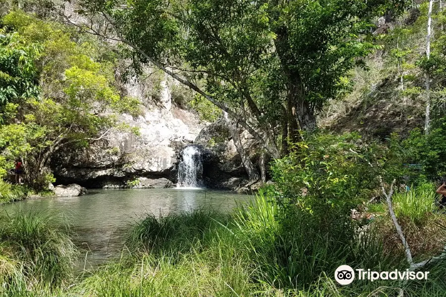 Kondalilla Falls