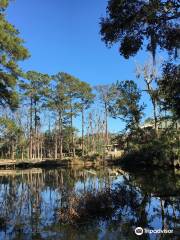 Country Club of Hilton Head