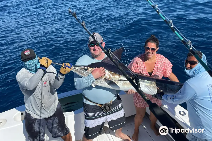 El Torito Sportfishing