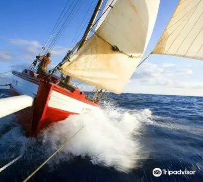 Tradition Sailing Charters