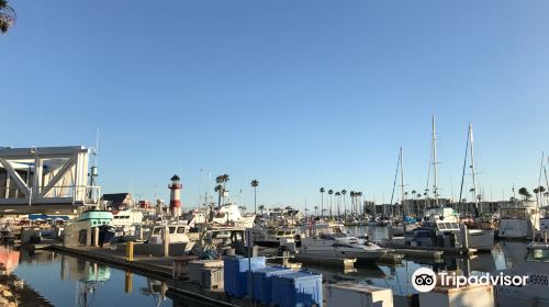 Oceanside Municipal Marina