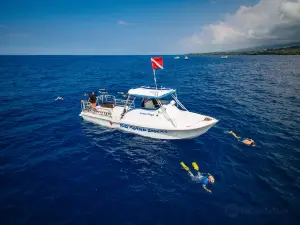 Big Island Divers