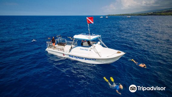 Big Island Divers