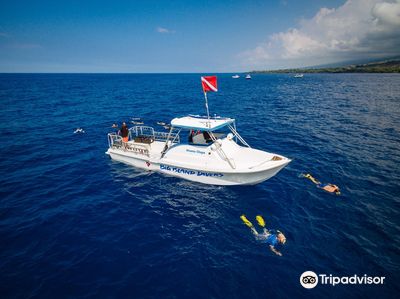 Big Island Divers