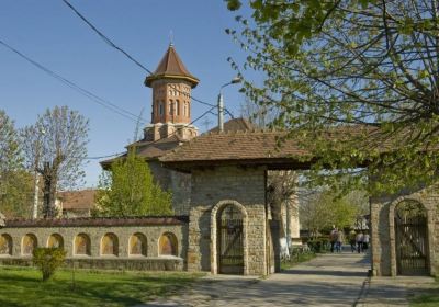 Bacău