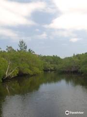 Delaware Scrub Natural Area