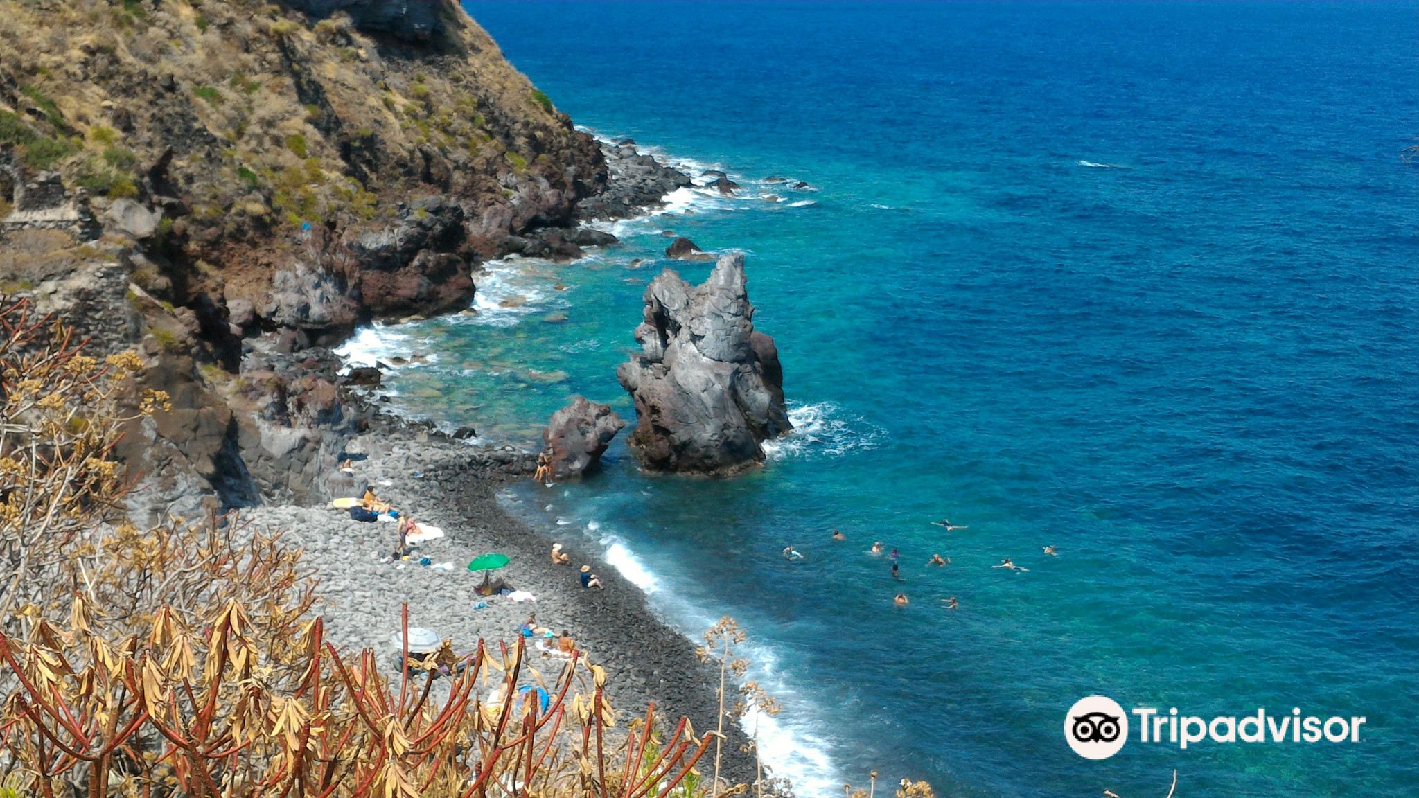 Malfa