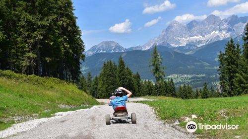 Mountain Gokart