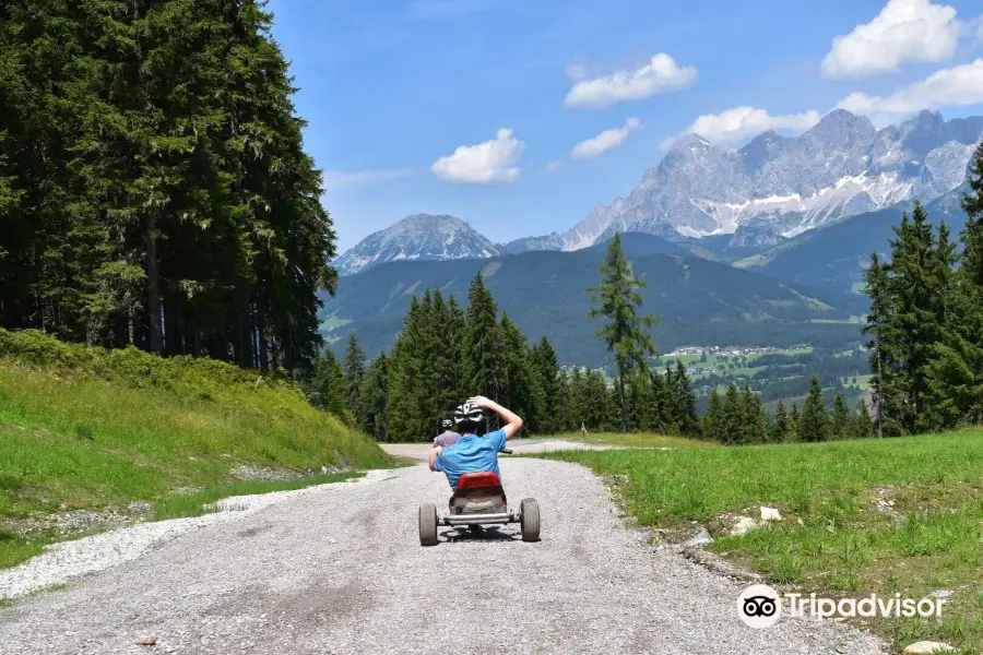 Mountain Gokart