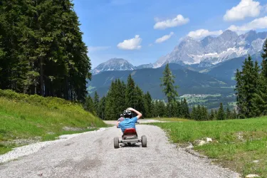 Mountain Gokart