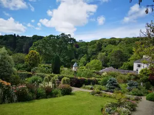 National Trust - Colby Woodland Garden