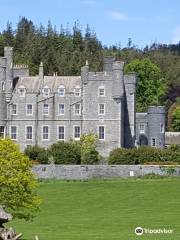 Castlewellan Forest Park