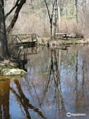 Pachaug State Forest