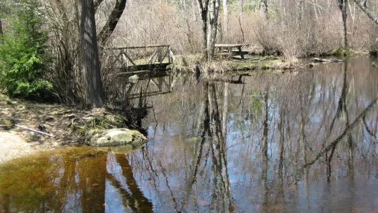 Pachaug State Forest