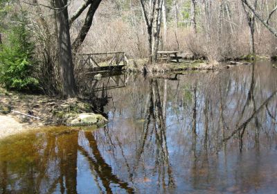 Pachaug State Forest