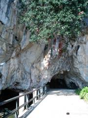 Cuevas de Tito Bustillo