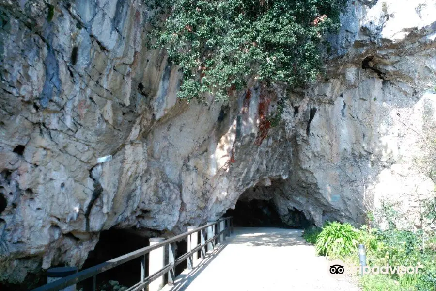 Cuevas de Tito Bustillo