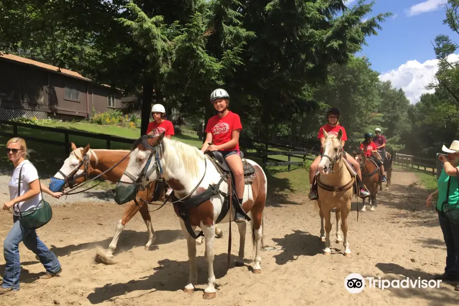 Saddle Up Stables